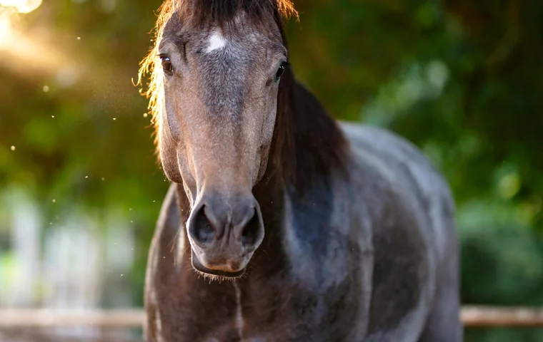 Cheval dans une ecurie moderne